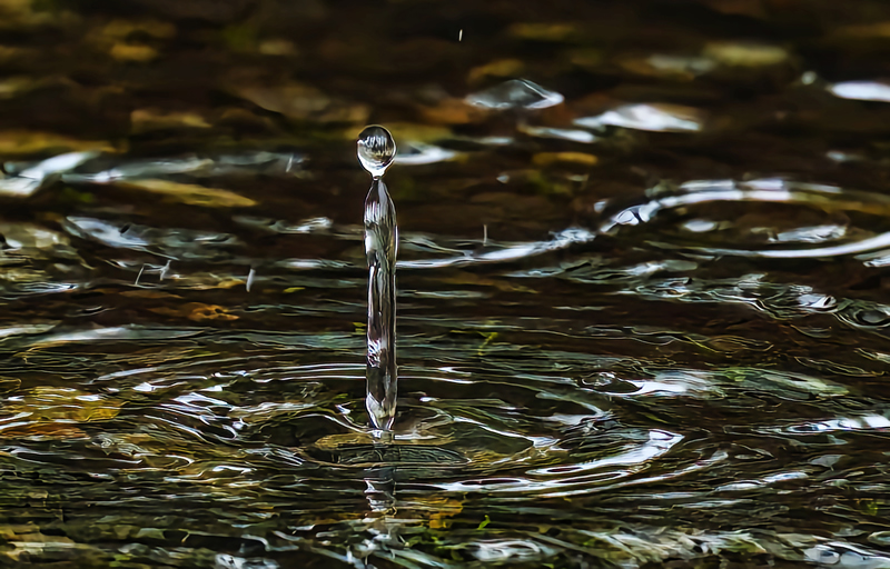 One Drop by Pat Stone
